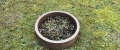 d) Round flower pot